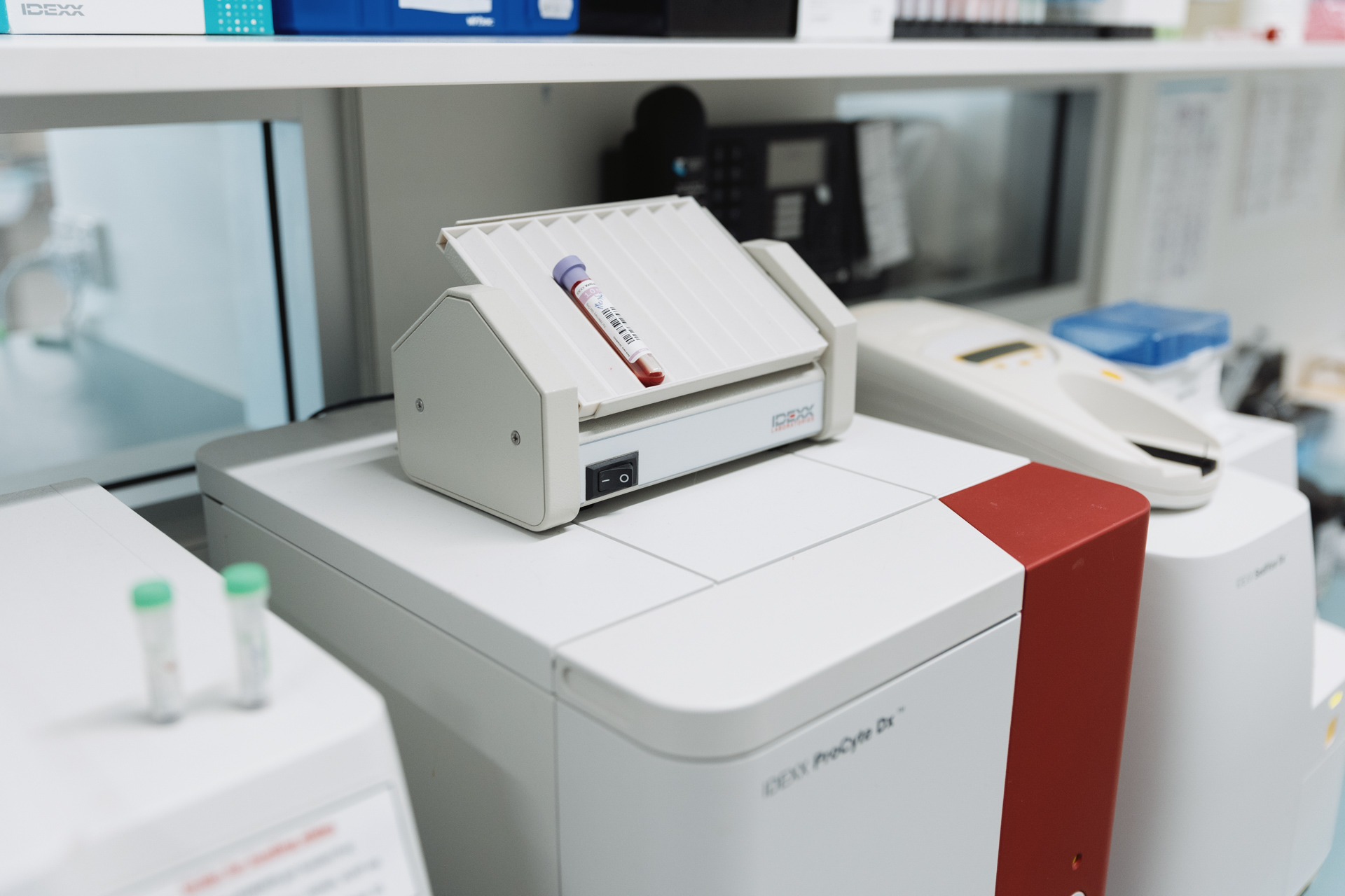 Blood Testing Gawler Animal Hospital